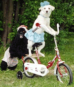 �������� �� ���� �� ������� ����� ������ �� ������� ����� ������ �������� �� ���� �� �������