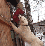  �������� �� ������ �� ������ �������� �� ���� ���������� �� ���� ��������� �� ������ snimki na ku4eta kucheta 