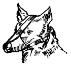 ������� �� �������� �� ���� �� ������� �� �������� �� ������ �� ������� ���������� �� ���� ��������� �� ����