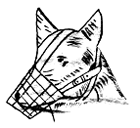 ������� �� �������� �� ���� �� ������� �� �������� �� ������ ���������� �� ���� ��������� �� ����